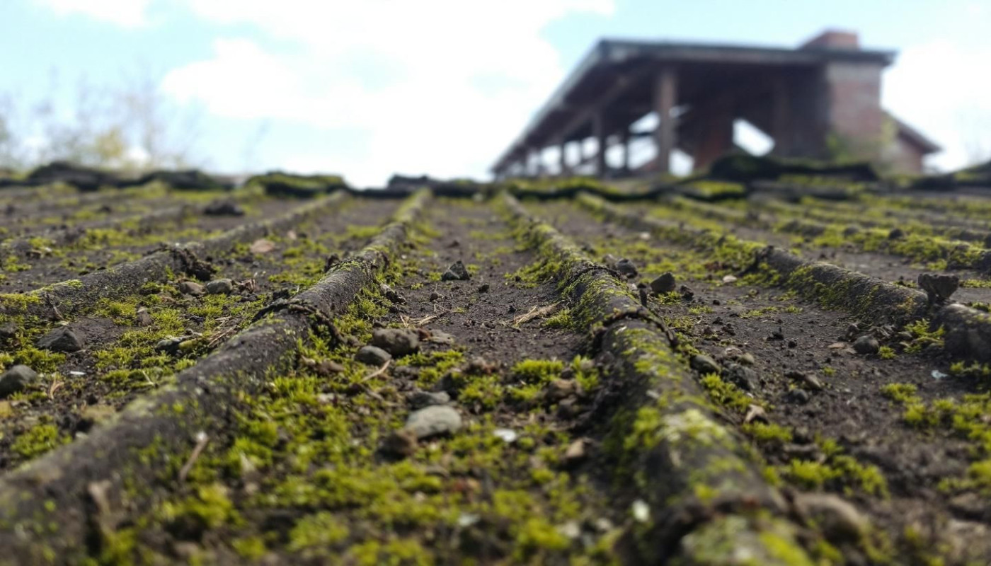 Comment protéger votre toit des mousses et des saletés ?